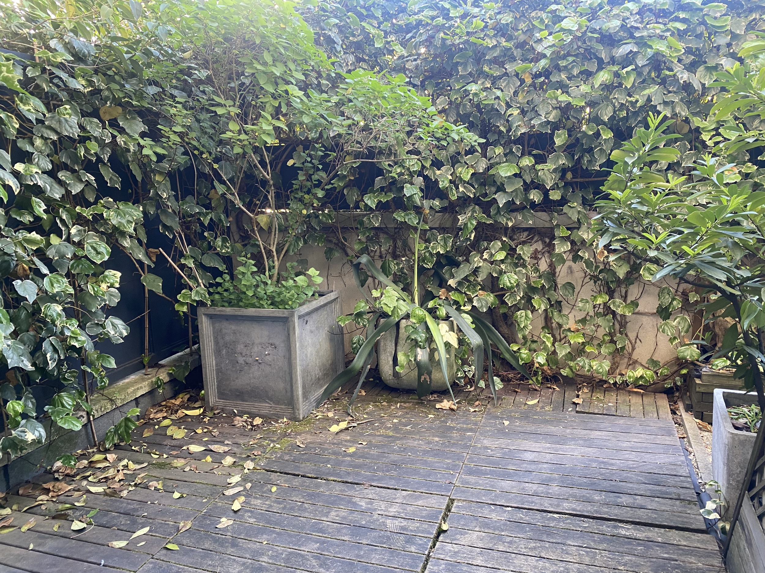 Autre image